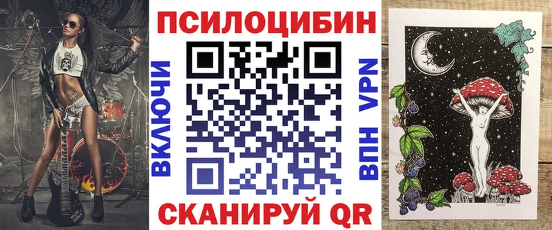 Псилоцибиновые грибы Psilocybe  купить наркотики цена  Тихвин 
