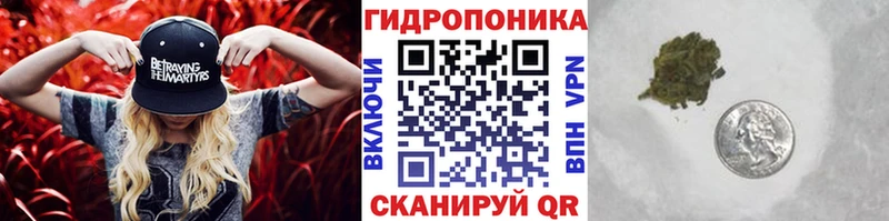 Марихуана семена  где продают   Тихвин 